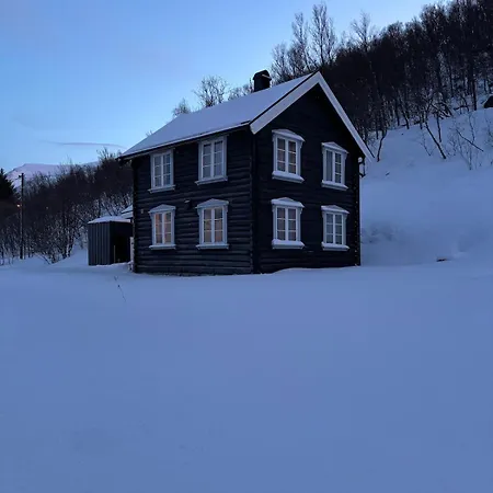 Old Cozy *