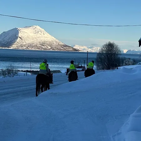 Old Cozy Ferienhaus Tromsø